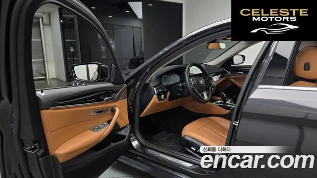 BMW Série 5 (G30) 520i Luxury 2019 — photo 11 sur 20