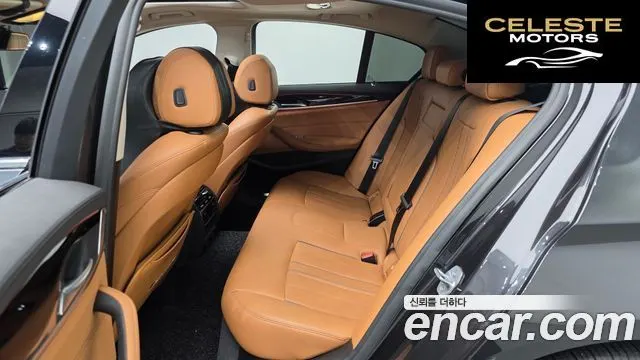 BMW Série 5 (G30) 520i Luxury 2019 — photo 12 sur 20
