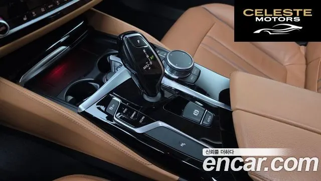 BMW Série 5 (G30) 520i Luxury 2019 — photo 9 sur 20