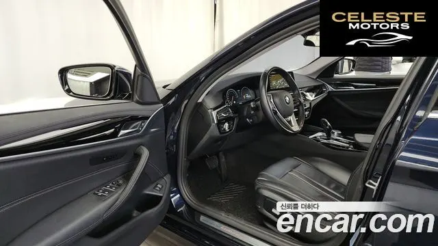 BMW Série 5 (G30) 520i Luxury 2019 — photo 10 sur 20