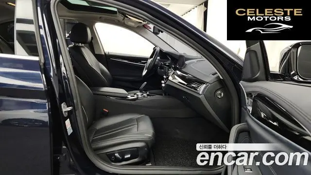 BMW Série 5 (G30) 520i Luxury 2019 — photo 11 sur 20