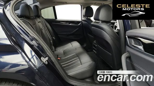 BMW Série 5 (G30) 520i Luxury 2019 — photo 12 sur 20