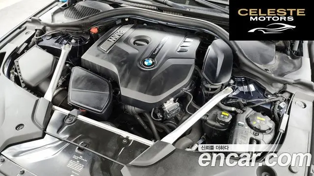 BMW Série 5 (G30) 520i Luxury 2019 — photo 6 sur 20