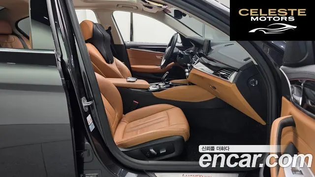 BMW Série 5 (G30) 520i Luxury 2019 — photo 10 sur 20