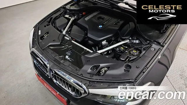BMW Série 5 (G30) 520i Luxury 2019 — photo 6 sur 20