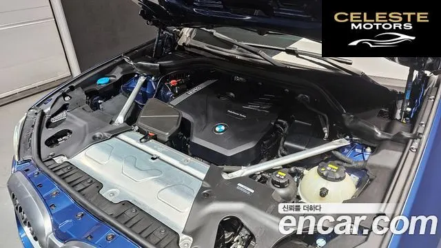 BMW X4 (G02) xDrive20i xLine 2022 — photo 6 sur 20