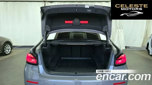 BMW Série 5 (G30) 520i Luxury 2021 — photo 20 sur 20