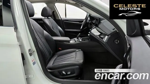 BMW Série 5 (G30) 520i Luxury 2019 — photo 10 sur 20