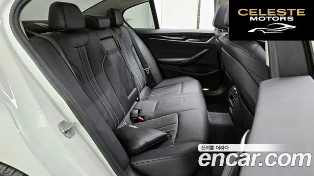 BMW Série 5 (G30) 520i Luxury 2019 — photo 12 sur 20