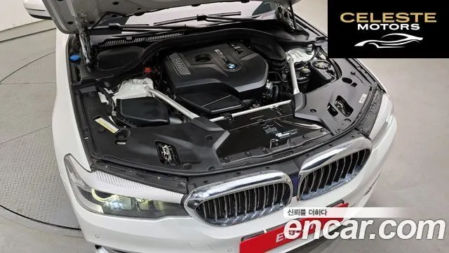 BMW Série 5 (G30) 520i Luxury 2019 — photo 6 sur 20
