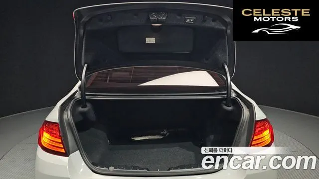 BMW Série 5 (F10) 520d 2014 — photo 19 sur 20