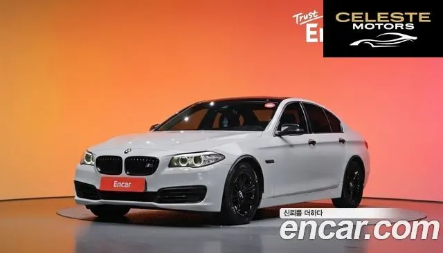 BMW Série 5 (F10) 520d 2014 — photo 20 sur 20