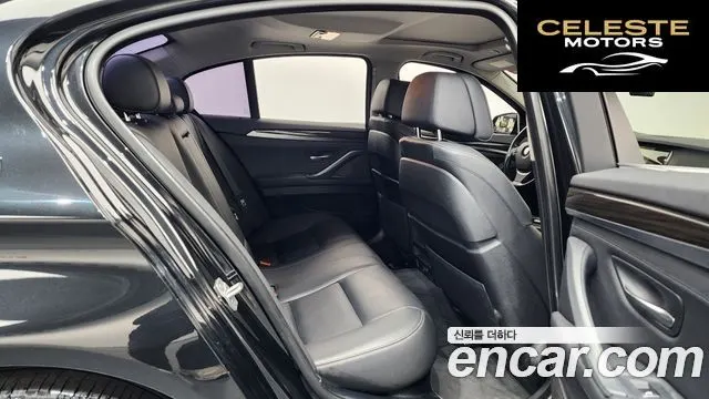 BMW Série 5 (F10) 520d xDrive Luxury Plus 2016 — photo 12 sur 20