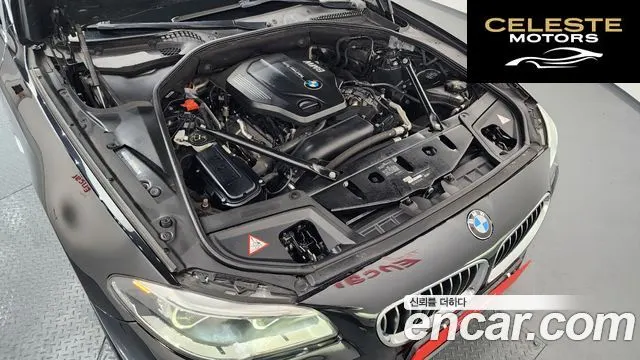 BMW Série 5 (F10) 520d xDrive Luxury Plus 2016 — photo 6 sur 20