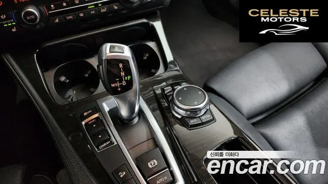BMW Série 5 (F10) 520d xDrive Luxury Plus 2016 — photo 9 sur 20