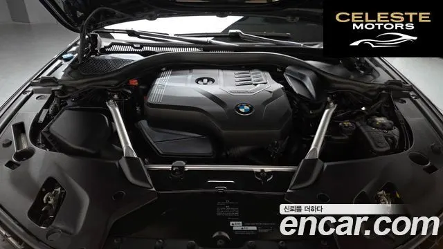BMW Série 5 (G30) 530i xDrive Luxury Plus 2020 — photo 6 sur 20