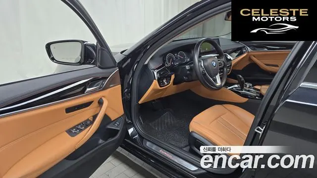 BMW Série 5 (G30) 520i Luxury 2019 — photo 10 sur 20