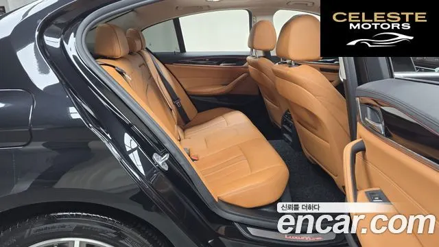 BMW Série 5 (G30) 520i Luxury 2019 — photo 12 sur 20