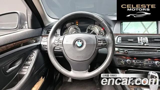 BMW Série 5 (F10) 520d 2013 — photo 13 sur 20