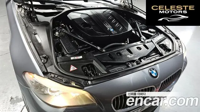 BMW Série 5 (F10) 520d 2013 — photo 6 sur 20