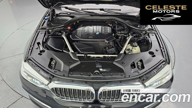 BMW Série 5 (G30) 520d Luxury Spécial Edition 2018 — photo 6 sur 20