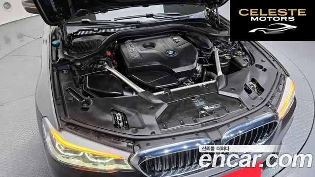BMW Série 5 (G30) 530i M Sport Plus 2019 — photo 6 sur 20