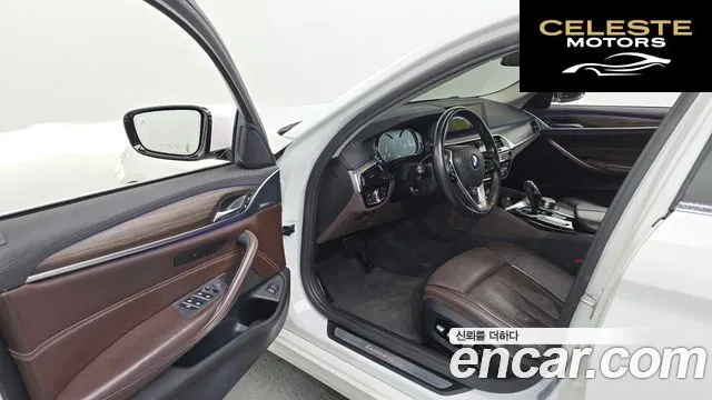 BMW Série 5 (G30) 520d xDrive Luxury Plus 2018 — photo 10 sur 20