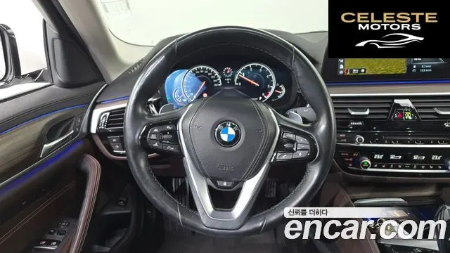 BMW Série 5 (G30) 520d xDrive Luxury Plus 2018 — photo 13 sur 20