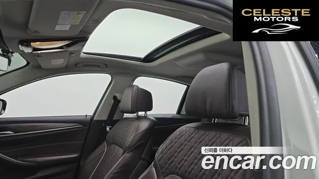 BMW Série 5 (G30) 520d xDrive Luxury Plus 2018 — photo 19 sur 20