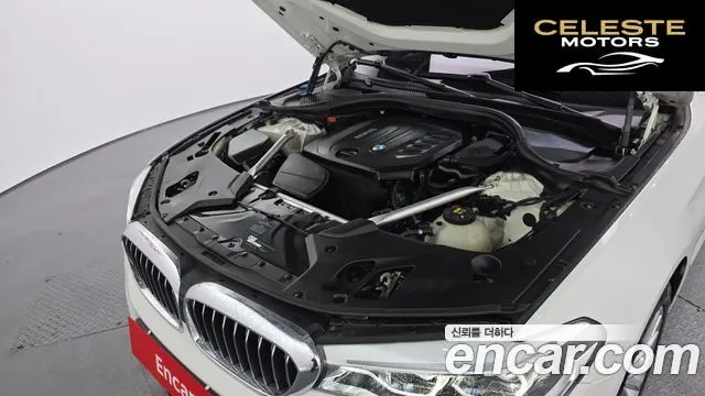 BMW Série 5 (G30) 520d xDrive Luxury Plus 2018 — photo 6 sur 20