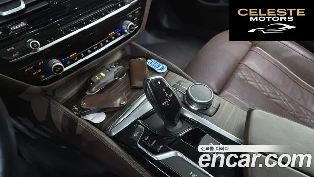 BMW Série 5 (G30) 520d xDrive Luxury Plus 2018 — photo 9 sur 20