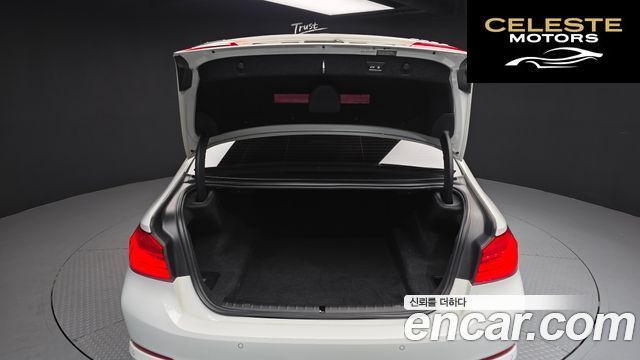 BMW Série 5 (G30) 520d xDrive Luxury Plus 2018 — photo 20 sur 26
