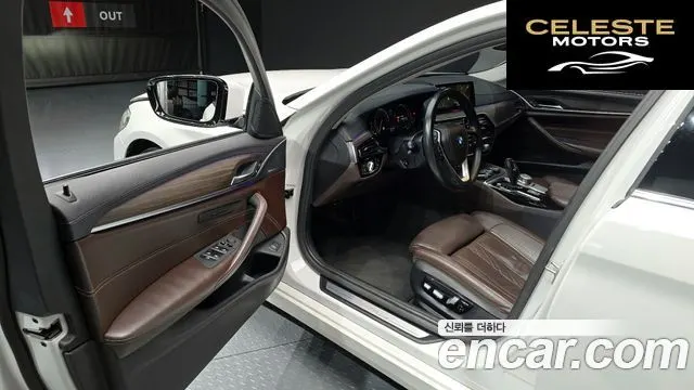 BMW Série 5 (G30) 520d Luxury Plus 2018 — photo 10 sur 20