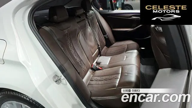 BMW Série 5 (G30) 520d Luxury Plus 2018 — photo 12 sur 20