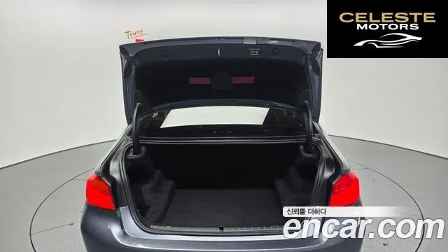 BMW Série 5 (G30) 520d Luxury Spécial Edition 2018 — photo 20 sur 20