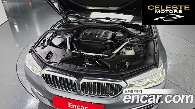 BMW Série 5 (G30) 520d Luxury Spécial Edition 2018 — photo 6 sur 20