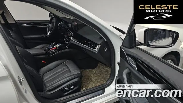 BMW Série 5 (G30) 520i Luxury 2019 — photo 10 sur 26