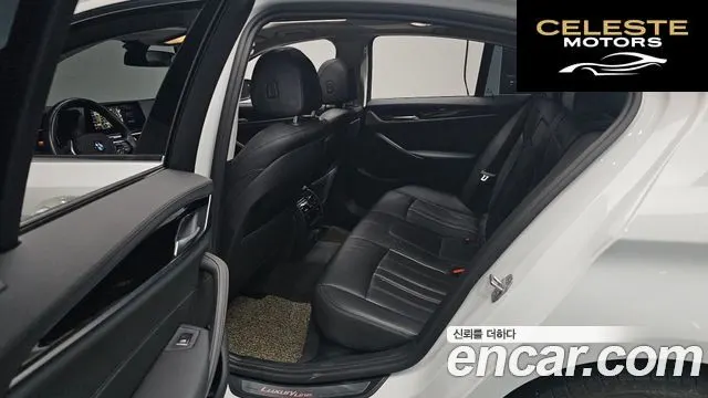 BMW Série 5 (G30) 520i Luxury 2019 — photo 12 sur 26