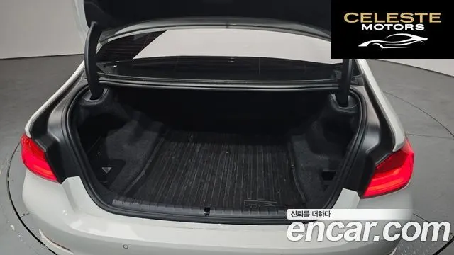 BMW Série 5 (G30) 520i Luxury 2019 — photo 20 sur 26