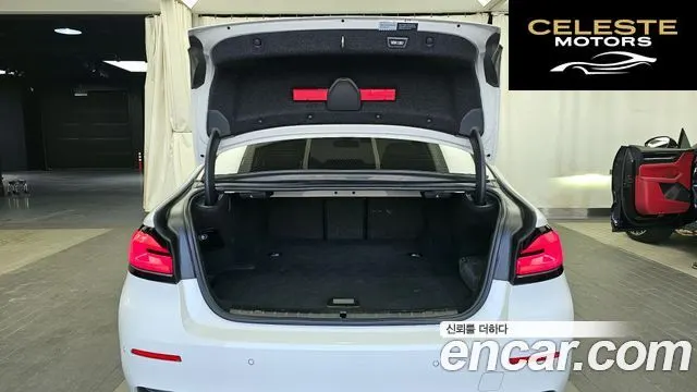 BMW Série 5 (G30) 530e Luxury 2023 — photo 20 sur 20