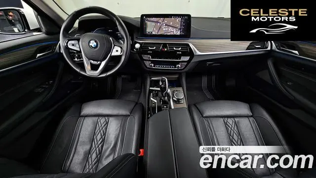 BMW Série 5 (G30) 530e Luxury 2023 — photo 7 sur 20