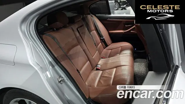 BMW Série 5 (F10) 520d xDrive M Aéro Dynamic 2016 — photo 12 sur 20