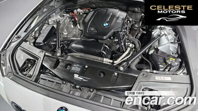 BMW Série 5 (F10) 520d xDrive M Aéro Dynamic 2016 — photo 6 sur 20