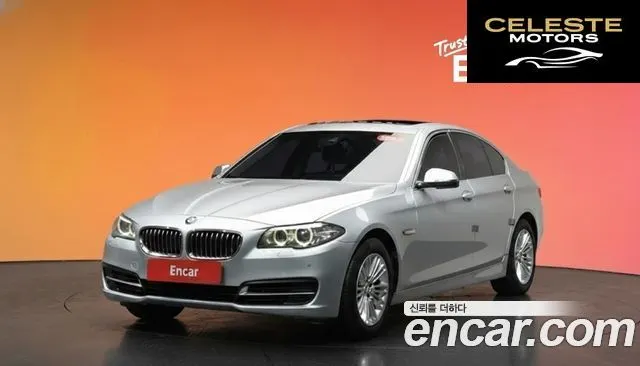 BMW Série 5 (F10) 520d xDrive 2014 — photo 20 sur 20