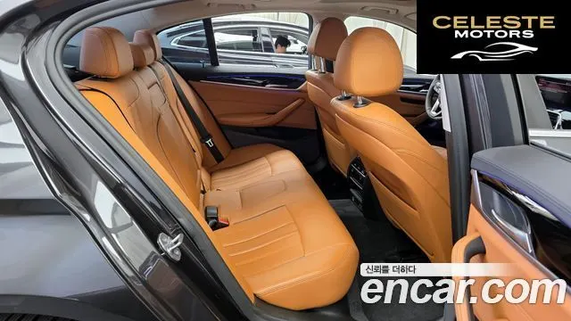 BMW Série 5 (G30) 520i Luxury 2020 — photo 12 sur 20