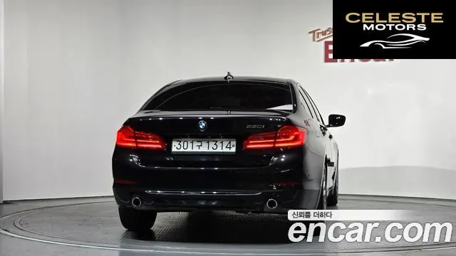 BMW Série 5 (G30) 530i Luxury Plus 2020 — photo 4 sur 20