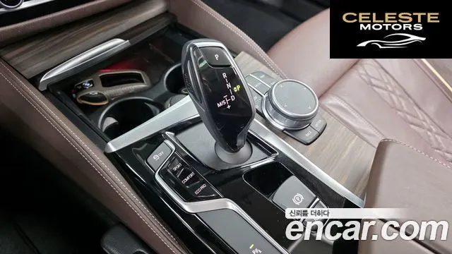 BMW Série 5 (G30) 530i Luxury Plus 2020 — photo 9 sur 20