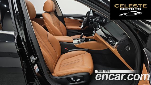BMW Série 5 (G30) 520i Luxury 2019 — photo 11 sur 20