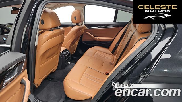 BMW Série 5 (G30) 520i Luxury 2019 — photo 12 sur 20