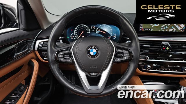BMW Série 5 (G30) 520i Luxury 2019 — photo 13 sur 20